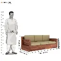 Tadoba 3 Seater Sofa-6.webp