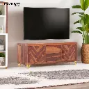 Antara TV Unit-2.webp