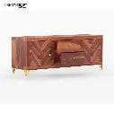 Antara TV Unit-6.webp