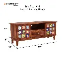 Chitra TV Unit-9.webp