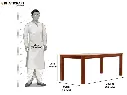 hina size.webp